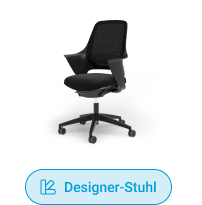 Designer-Stuhl Ergotopia WellBack