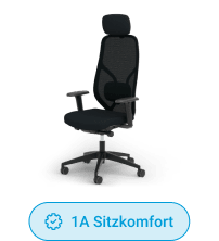 Premium-Schreibtischstuhl Ergotopia MasterBack Style