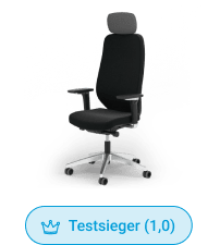 Premium-Schreibtischstuhl Ergotopia MasterBack Executive