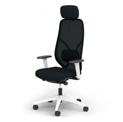Ergotopia Bürostuhl MasterBack Style Ergonomischer Sitzkomfort der Spitzenklasse