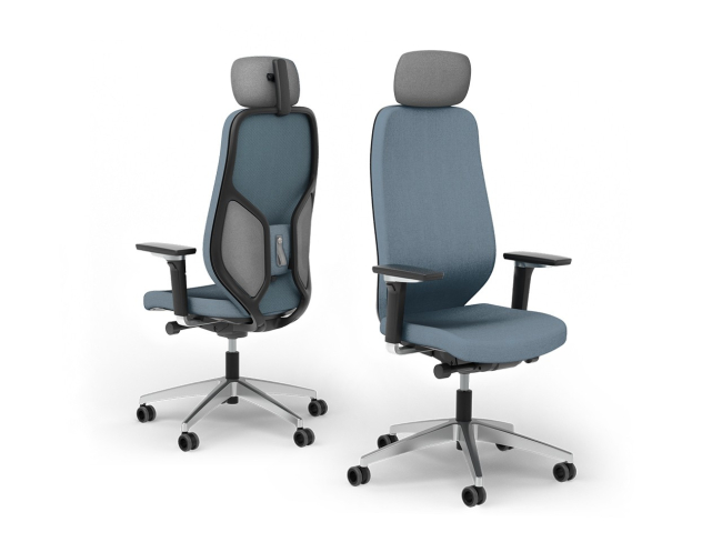 Ergotopia MasterBack Executive: Ergonomischer Sitzkomfort der Spitzenklasse - 3