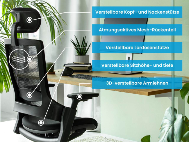 Ergotopia NextBack - Ergonomischer Bürostuhl mit höhenverstellbarer Kopfstütze - 6