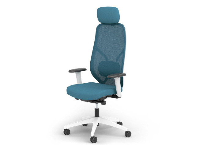 Ergotopia MasterBack Style: Ergonomischer Sitzkomfort der Spitzenklasse - 1