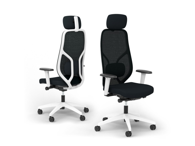 Ergotopia MasterBack Style: Ergonomischer Sitzkomfort der Spitzenklasse - 3