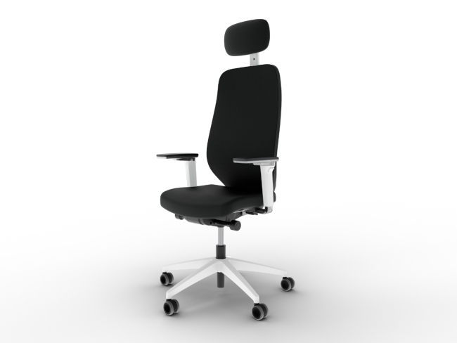 Ergotopia MasterBack Pro L: Ergonomischer Sitzkomfort der Spitzenklasse - 1
